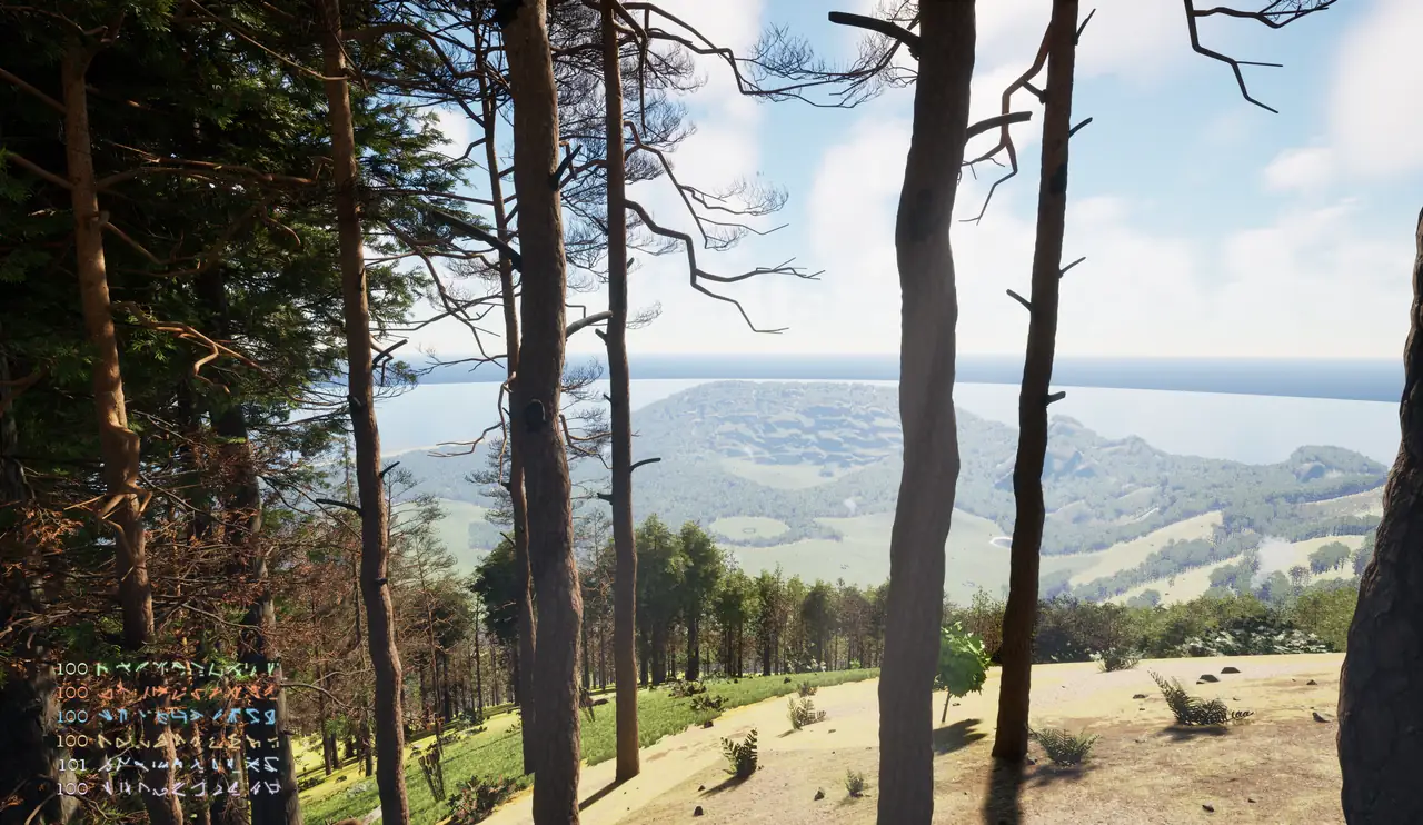 The valley seen from the ridge through standing pines.